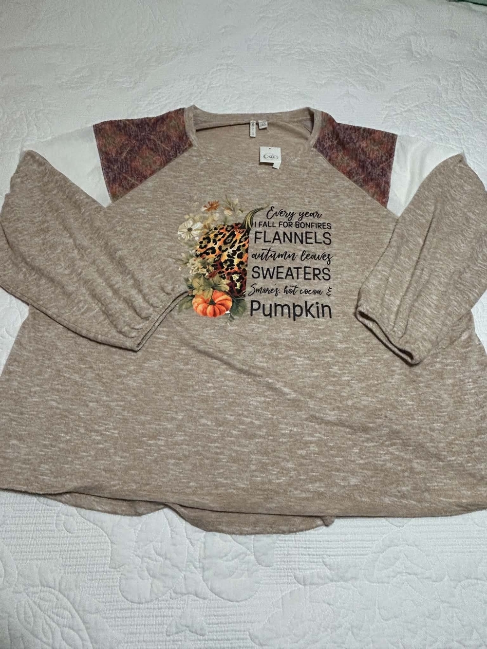 Cato Taupe Crewneck Sweater with Pumpkin & Floral Graphic